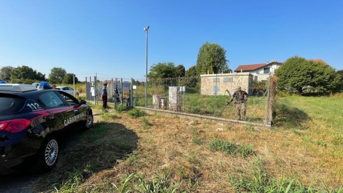Ricerche In Corso Per Lomicid