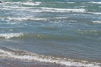 Salvataggio Eroico In Mare Ca