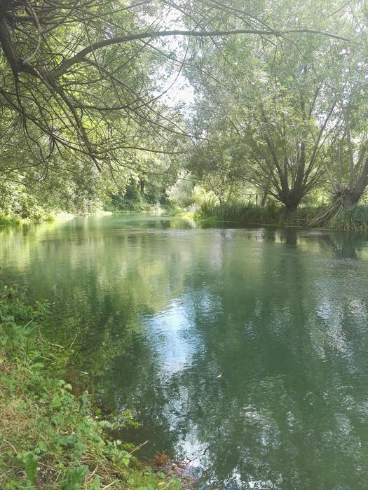 Sequestro Dellimpianto Indust