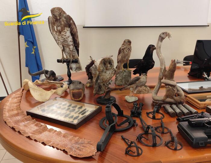 Sequestro Di Armi E Reperti Ar