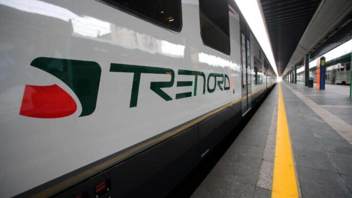 Trenord E Il Servizio Ferrovia