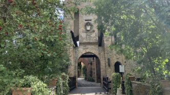Unestate Emiliana Tra Picnic