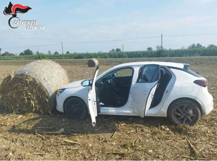 Arresto E Inseguimento 22Enne