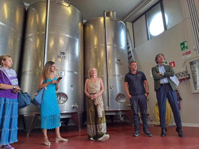 Bolgheri Marilisa Allegrini L