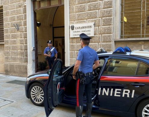 Dipendenti Infedeli Dei Serviz