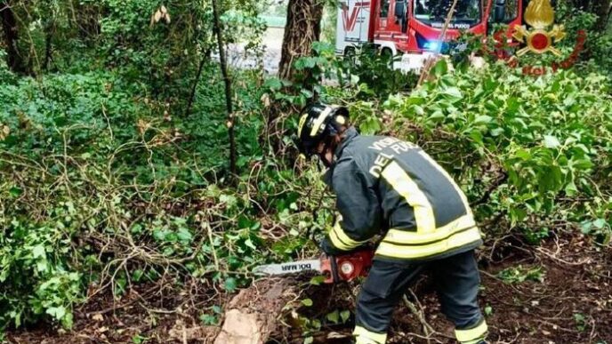Emergenza Maltempo 95 Interve