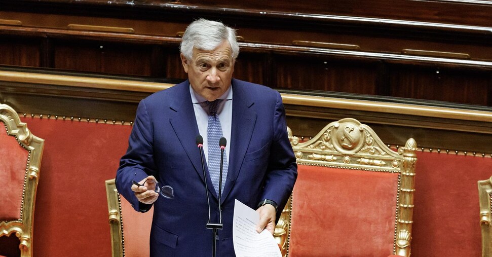 Forza Italia Punta Al 20 Ant
