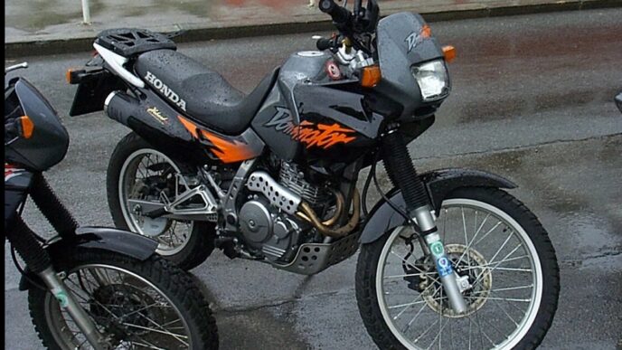 Furto Di Moto A Portici Ladri
