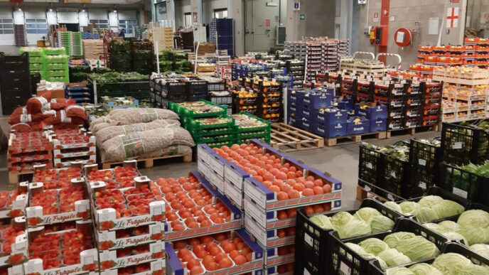 G7 Agricoltura 2024 Italmerca