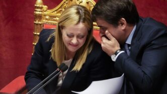 Giorgia Meloni Esulta Per La N