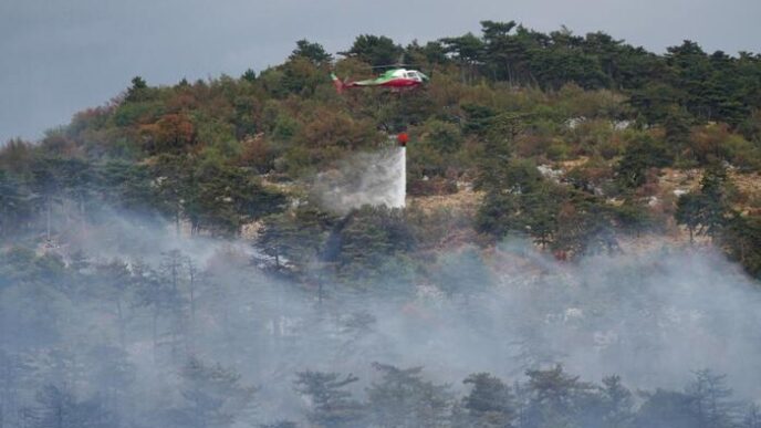 Incendio Sul Carso Proseguono