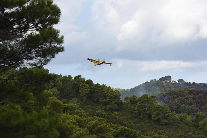 Incendio Sul Monte Cimadors In