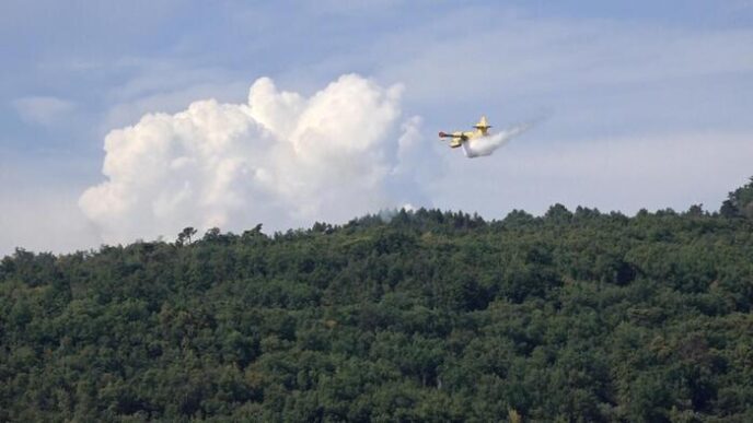 Incendio Sul Monte Cimadors R