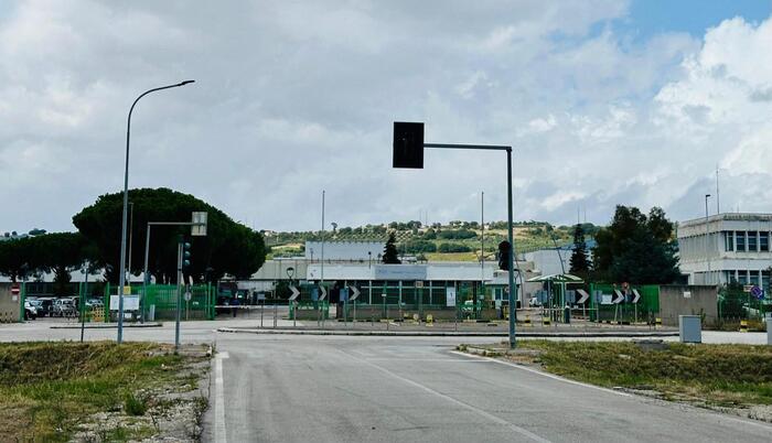 Incertezze E Sfide Per La Giga