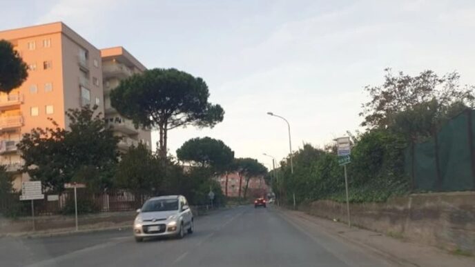Incidente Stradale A Torre Ann