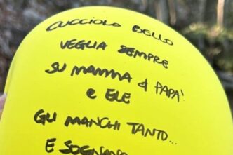 La Commovente Storia Del Pallo