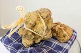 La Stagione Del Tartufo Bianco