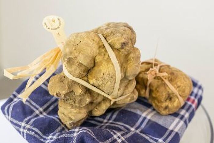 La Stagione Del Tartufo Bianco