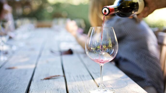 La Stagione Del Vino Attivita