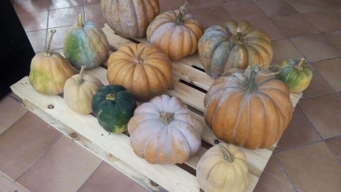 Larrivo Dellautunno Segna Il