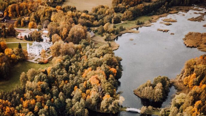 Lautunno In Estonia Colori