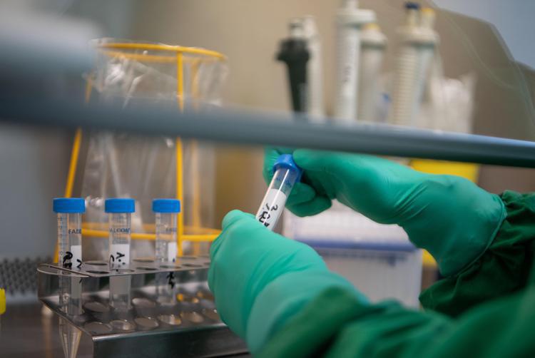 Nuovo Esame Del Sangue Promett