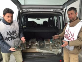 Operazione Antibracconaggio A