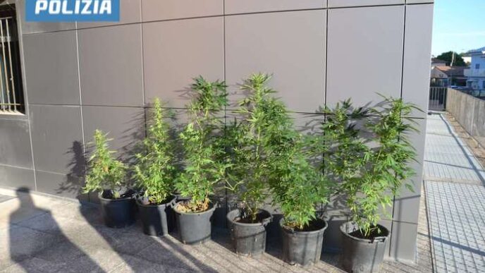 Operazione Antidroga Nelle Mar