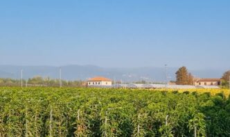 Pistoia Lexport Del Vivaismo