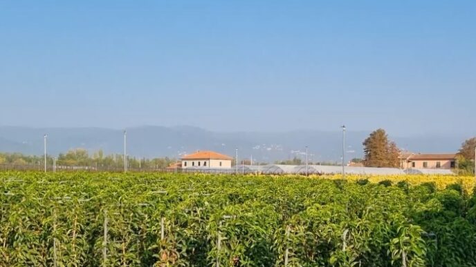 Pistoia Lexport Del Vivaismo