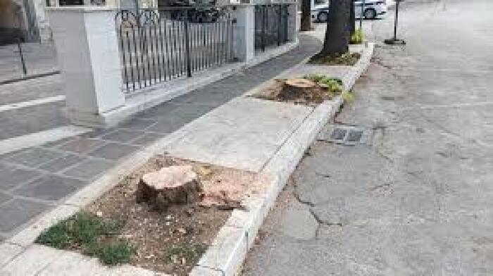 Protesta Ambientalista A Sulmo