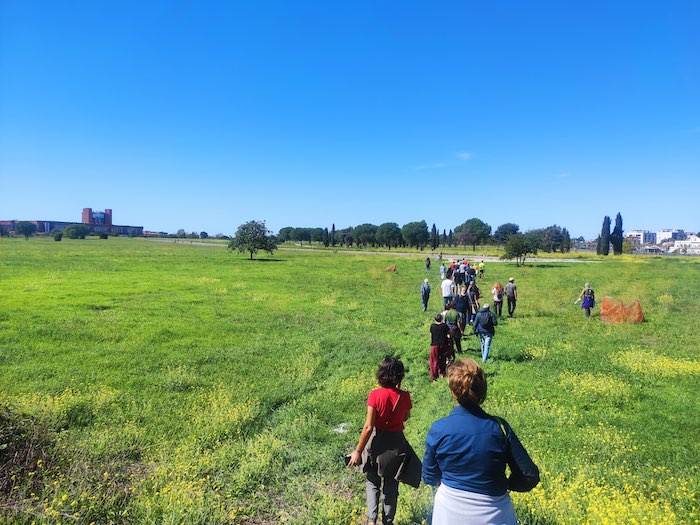 Roma Est Protagonista Di Urban