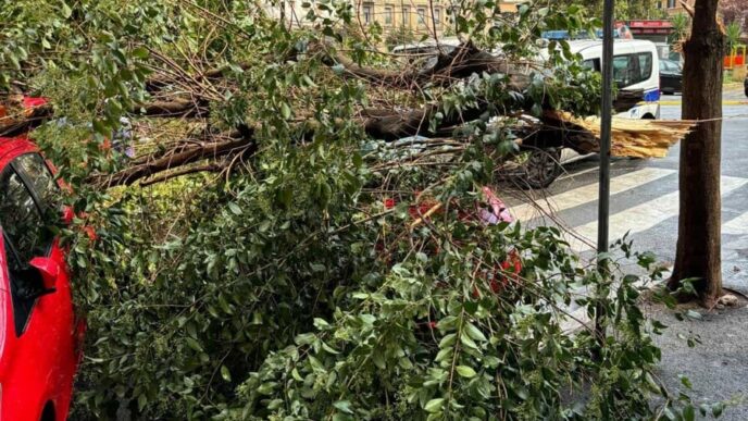 Roma Colpita Da Bomba Dacqua