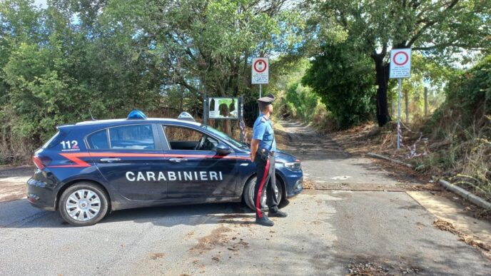 Scomparsa Nel Bosco A Ladispol