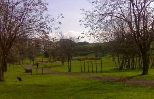 Scoperta Tragica Al Parco Dell