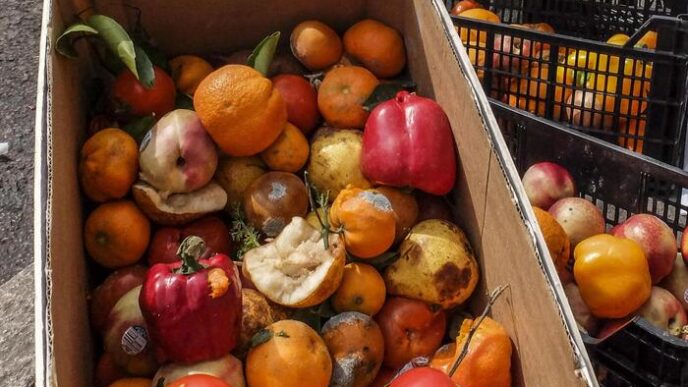 Spreco Alimentare In Italia A