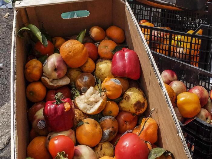Spreco Alimentare In Italia A