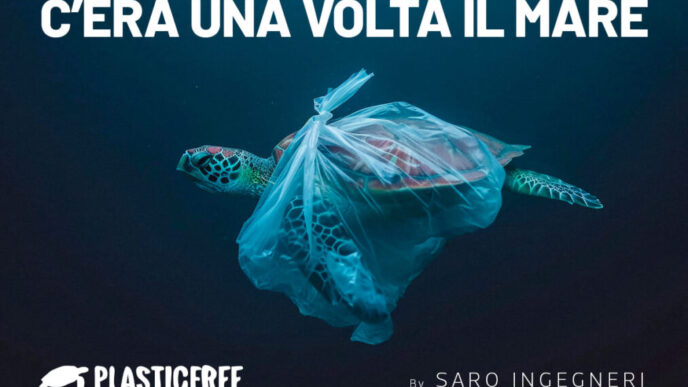 Superficie Di Plastica Weeken