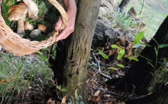 Tragiche Morti Di Cercatori Di