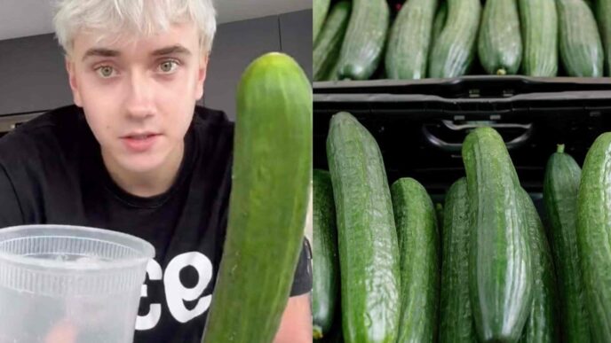 Cetriolo Islanda Logan Moffitt Tiktok1 Scaled 1