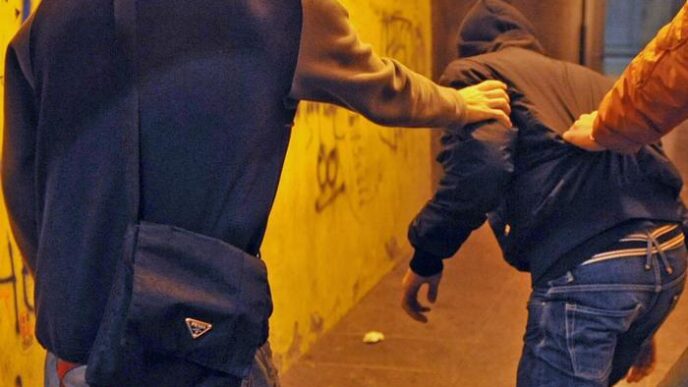 Aggressione E Bullismo Nel Par