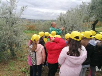 Annata Dell27Olio Marchigiano3A