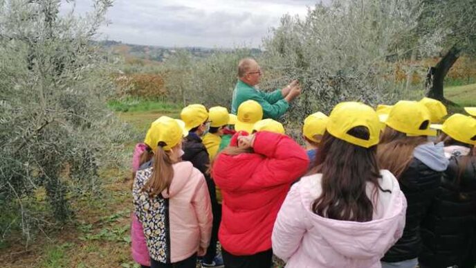 Annata Dell27Olio Marchigiano3A