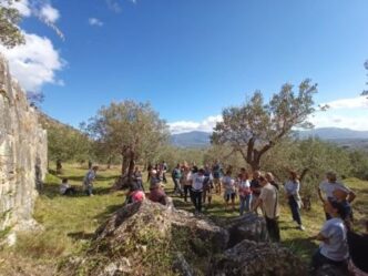 Camminata Tra Gli Olivi3A L27Eve