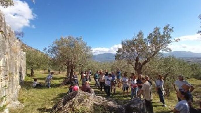 Camminata Tra Gli Olivi3A L27Eve