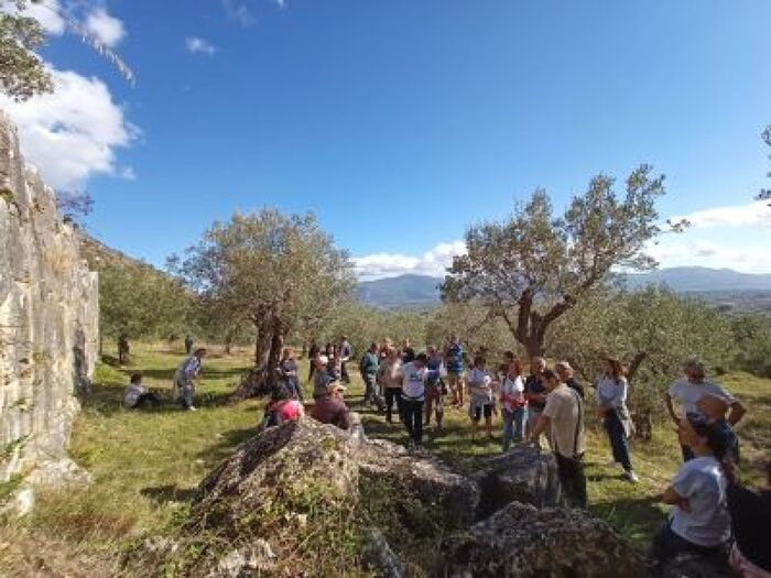 Camminata Tra Gli Olivi3A L27Eve