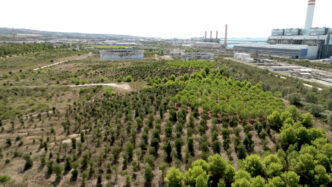 Civitavecchia A Rischio3A Il Ww