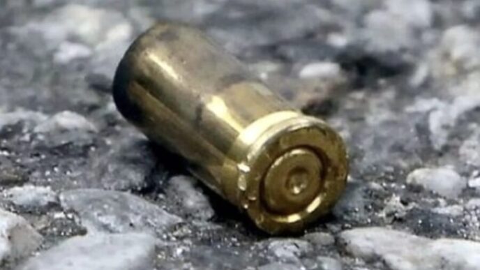 Colpi De28099Arma Da Fuoco In Pieno