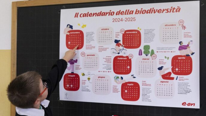 E.on Lancia Il Progetto Scuole