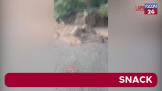 Emergenza Maltempo In Calabria